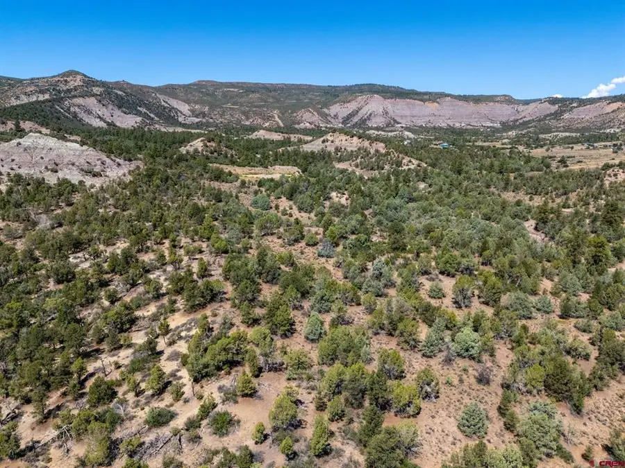 TBD Budd Road, Durango, CO 81303 - #3