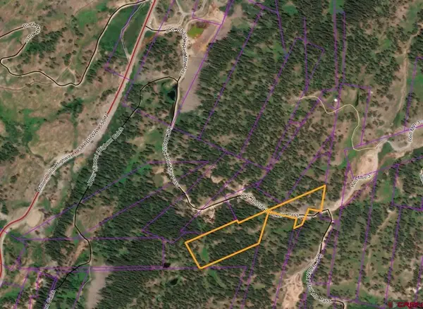 TBD County Road 14, Silverton, CO 81433