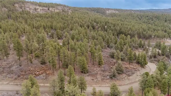 199 Starling Circle, Pagosa Springs, CO 81147