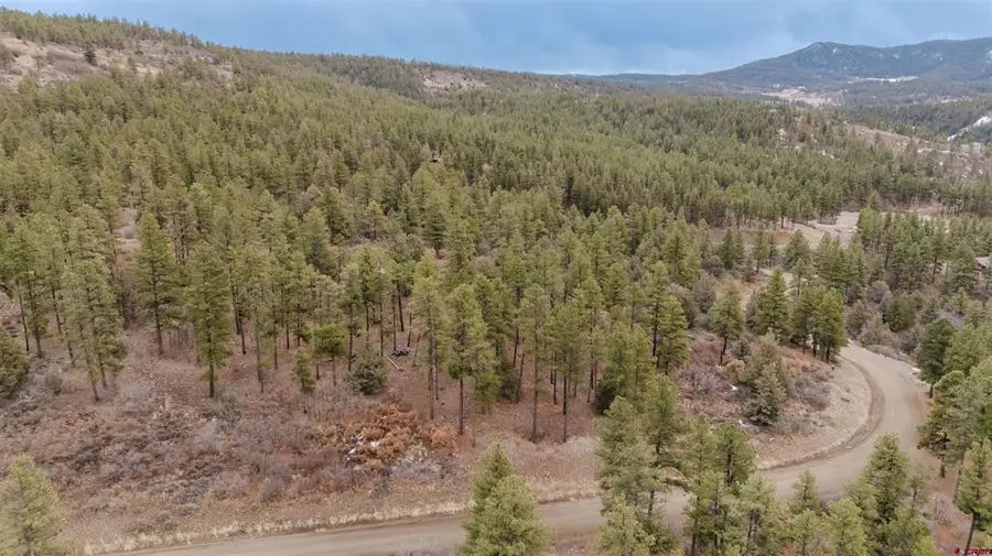 199 Starling Circle, Pagosa Springs, CO 81147 - #2