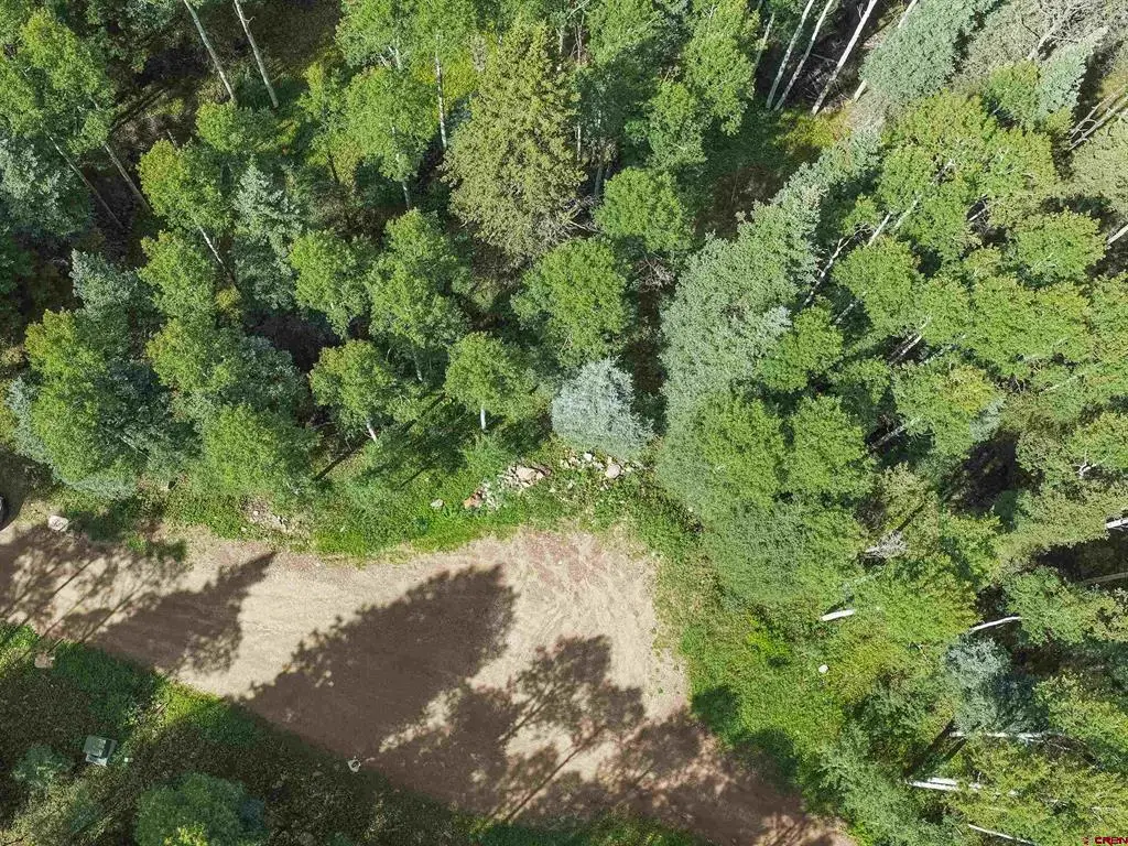 TBD Road 55.9 Lot 3, Rico, CO 81332 - #1