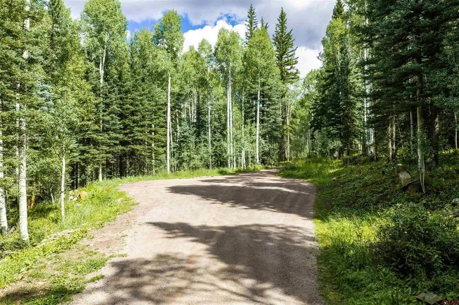 TBD Road 55.9 Lot 3, Rico, CO 81332 - #2