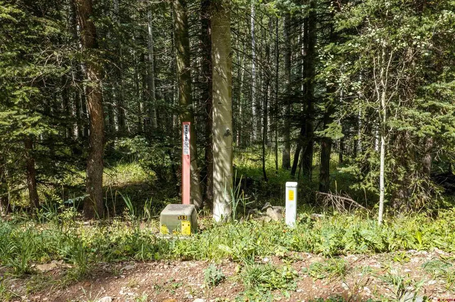 TBD Road 55.9 Lot 3, Rico, CO 81332 - #3