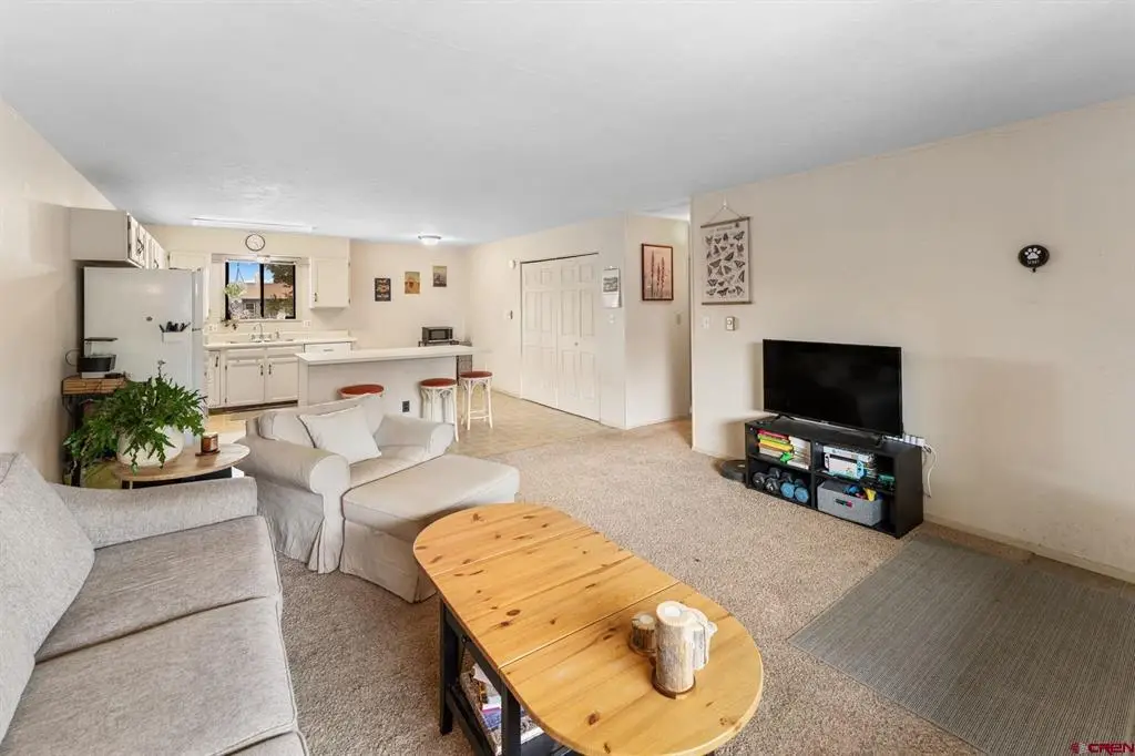 212 S 11th Street #209, Gunnison, CO 81230 - #1