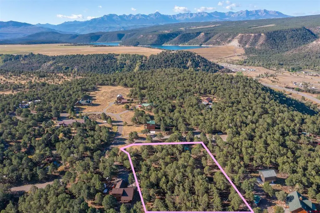 TBD Pinon, Ridgway, CO 81403 - #1