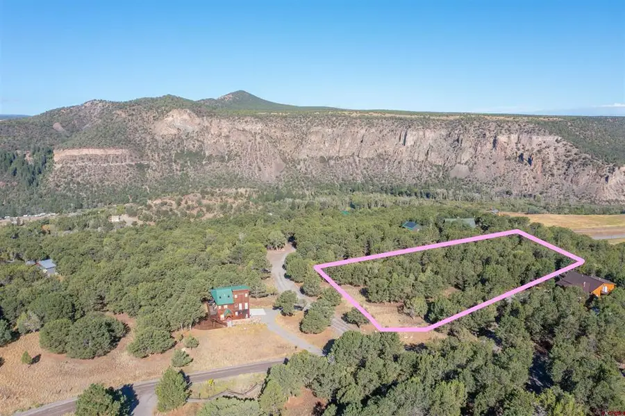 TBD Pinon, Ridgway, CO 81403 - #3