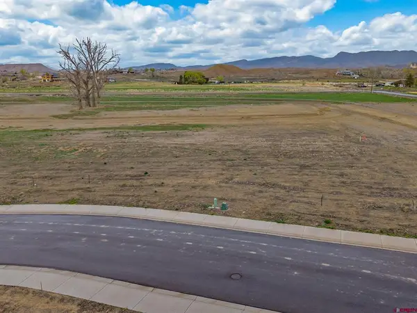 TBD Lot 16 Apple Grove Street, Montrose, CO 81401