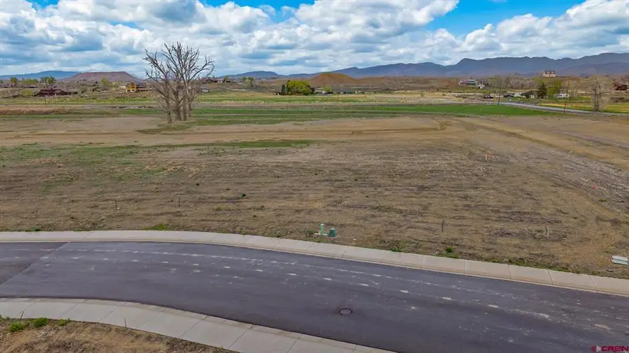 TBD Lot 16 Apple Grove Street, Montrose, CO 81401 - #2