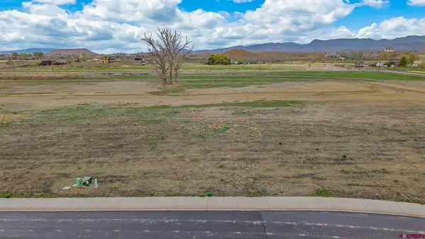 TBD Lot 17 Apple Grove Street, Montrose, CO 81401