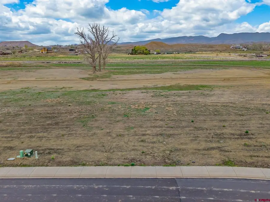 TBD Lot 17 Apple Grove Street, Montrose, CO 81401 - #2