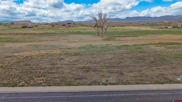 TBD Lot 19 Apple Grove Street, Montrose, CO 81401