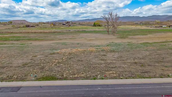 TBD Lot 20 Apple Grove Street, Montrose, CO 81401