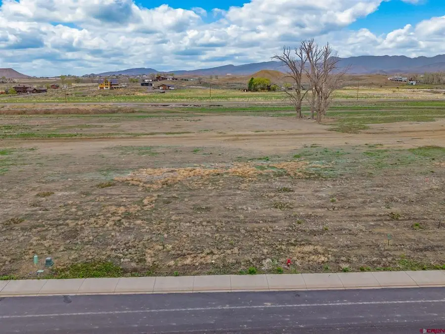 TBD Lot 20 Apple Grove Street, Montrose, CO 81401 - #2