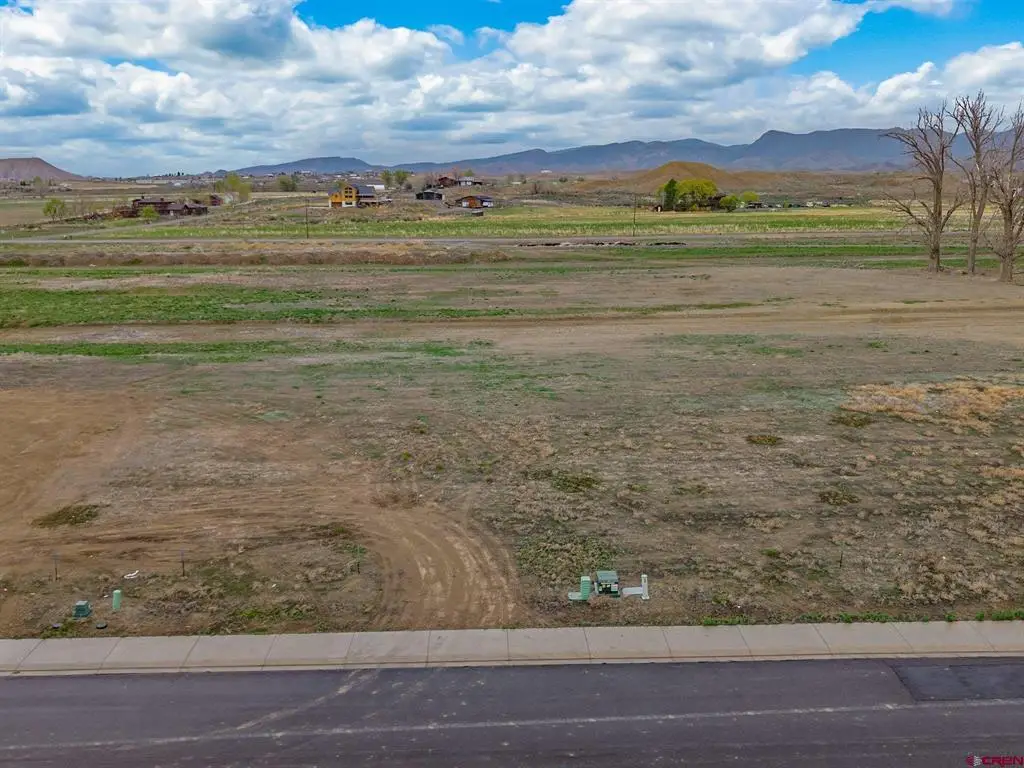 TBD Lot 22 Apple Grove Street, Montrose, CO 81401 - #1