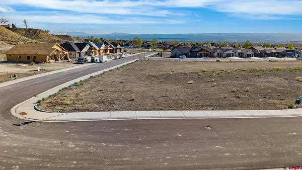 TBD Lot 11 Apple Grove Street, Montrose, CO 81401