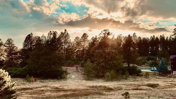 107 Chase Court, Pagosa Springs, CO 81147