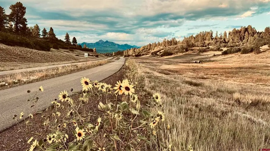 107 Chase Court, Pagosa Springs, CO 81147 - #3