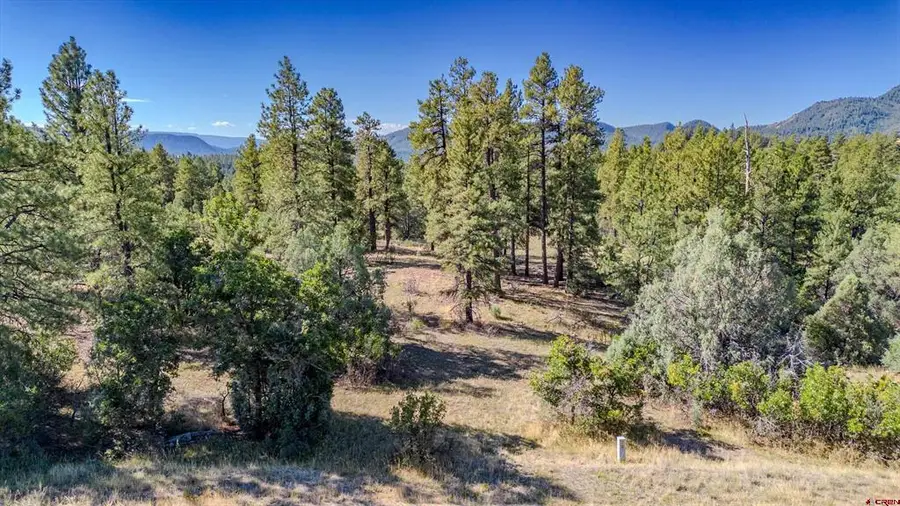 3169 Meadows Drive, Pagosa Springs, CO 81147 - #2