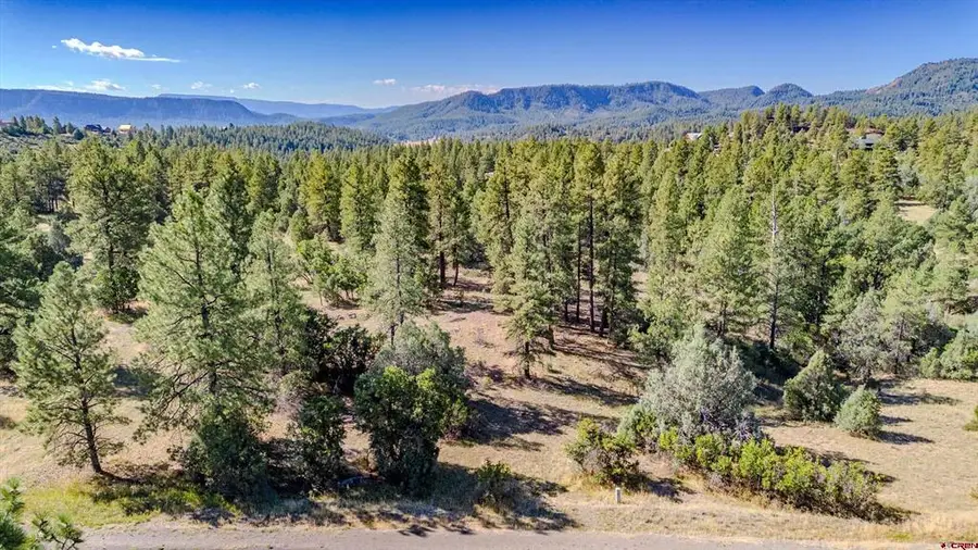 3169 Meadows Drive, Pagosa Springs, CO 81147 - #3