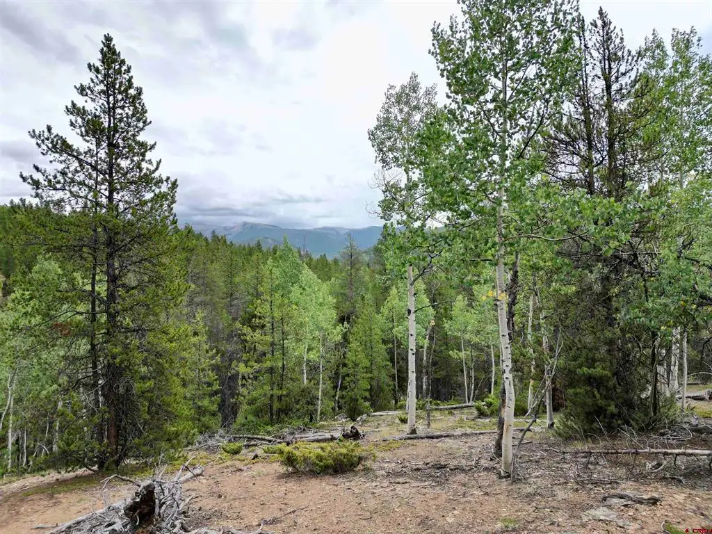 TBD North Pond Road, Pitkin, CO 81241 - #1