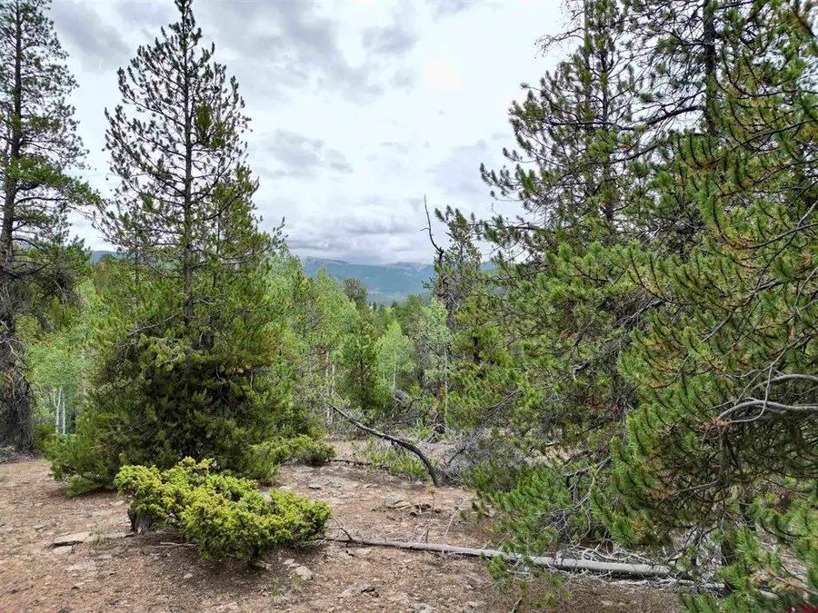 TBD North Pond Road, Pitkin, CO 81241 - #2