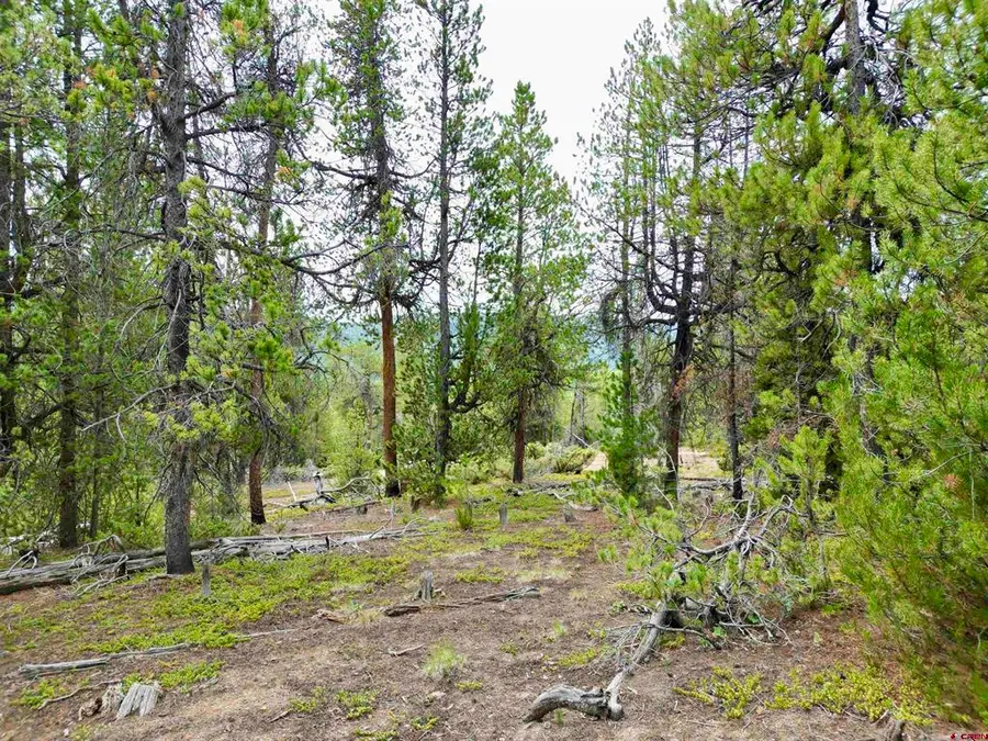 TBD North Pond Road, Pitkin, CO 81241 - #3