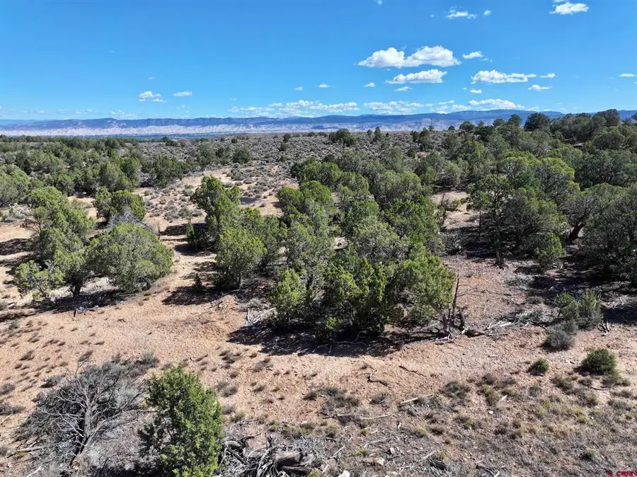 tbd Happy Canyon Road, Montrose, CO 81401 - #2