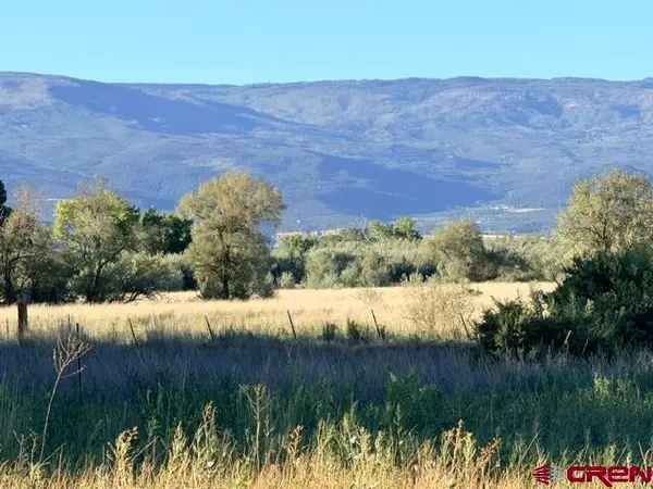 Lot 9 Lahabra Drive, Austin, CO 81410