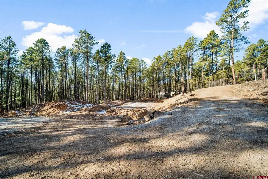 152 Elk Drive, Bayfield, CO 81122 - #3