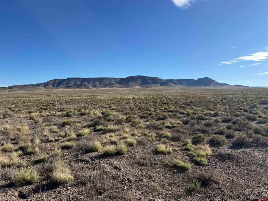 TBD St Hwy 142, Manassa, CO 81141 - #2