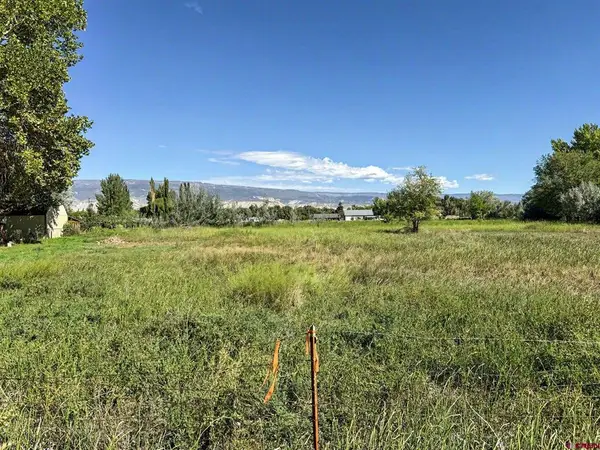 TBD Lot 2 G96 Lane, Delta, CO 81416