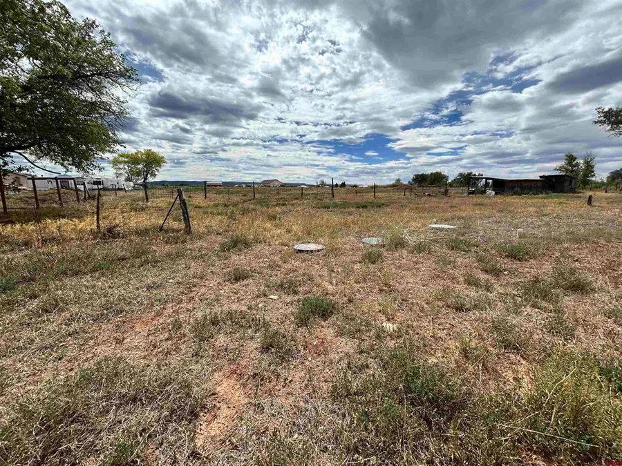 35860 Highway 145, Redvale, CO 81431 - #3