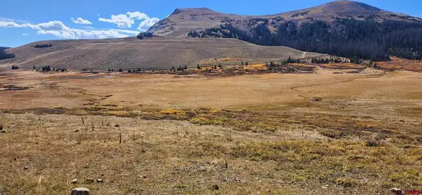 TBD Forest Service Road 330, South Fork, CO 81154
