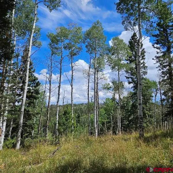 604 Snowshoe Lane, Cimarron, CO 81220