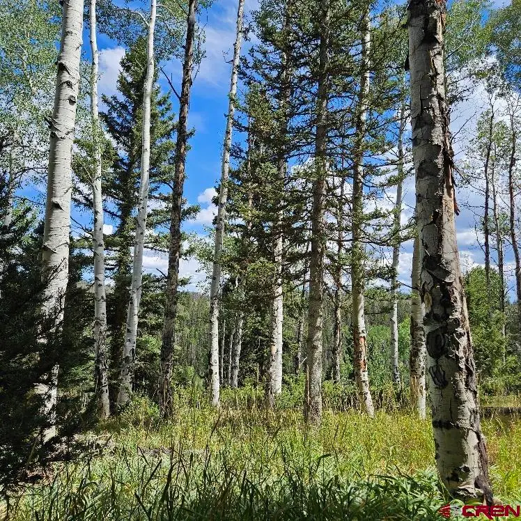 604 Snowshoe Lane, Cimarron, CO 81220 - #2