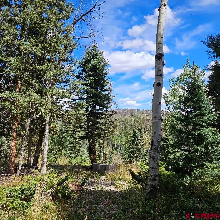 604 Snowshoe Lane, Cimarron, CO 81220 - #3