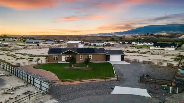 729 Spotted Pony Court, Delta, CO 81416