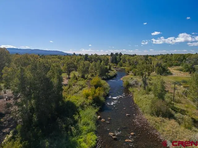 5947 County Road 516, Bayfield, CO 81122 - #3