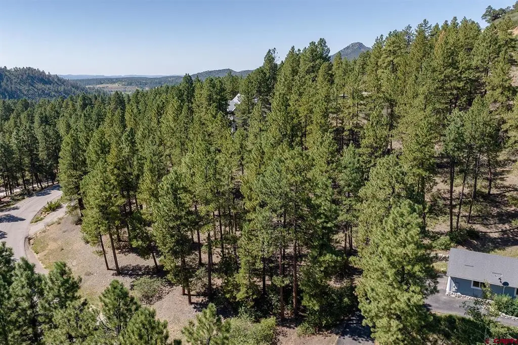 398 Iron King, Durango, CO 81301 - #1