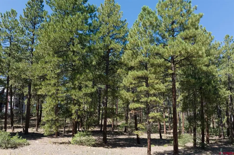 398 Iron King, Durango, CO 81301 - #3