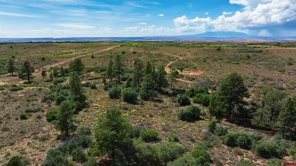 TBD Road 9.4, Dove Creek, CO 81324