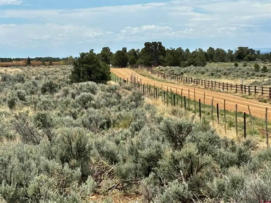 3141 Cr 130, Hesperus, CO 81326 - #2