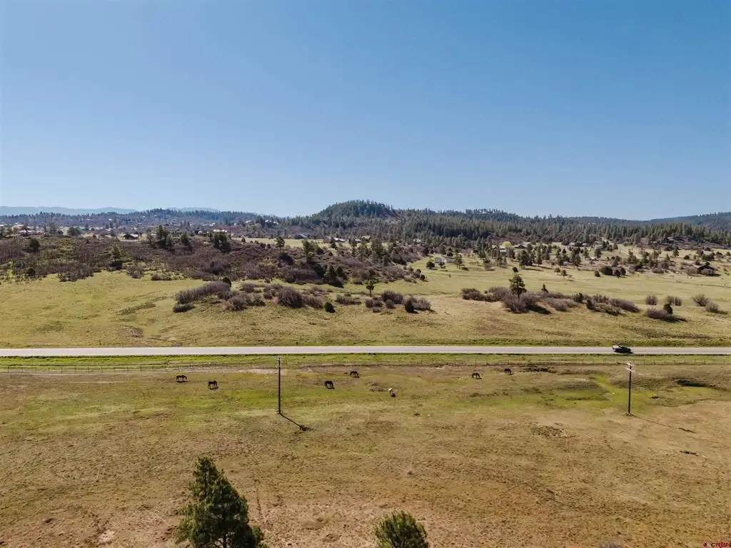 X Dichoso Street, Pagosa Springs, CO 81147 - #1