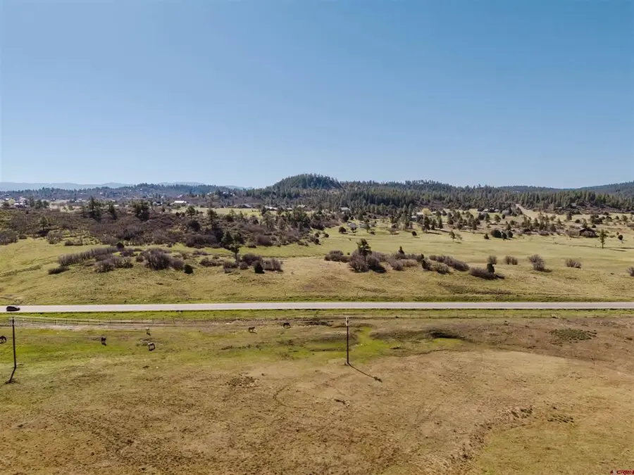 X Dichoso Street, Pagosa Springs, CO 81147 - #3