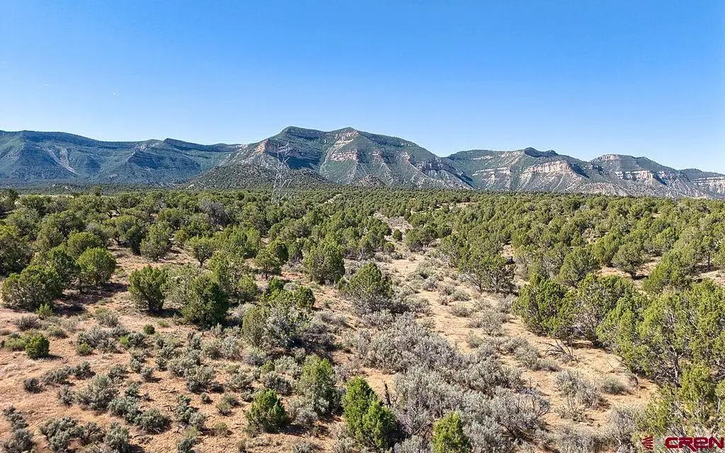 TBD Road F, Cortez, CO 81321 - #1
