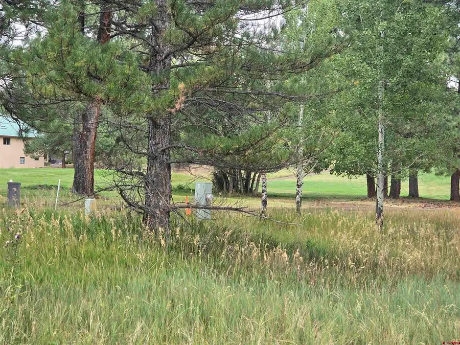 94 Pines Club Place, Pagosa Springs, CO 81147 - #2