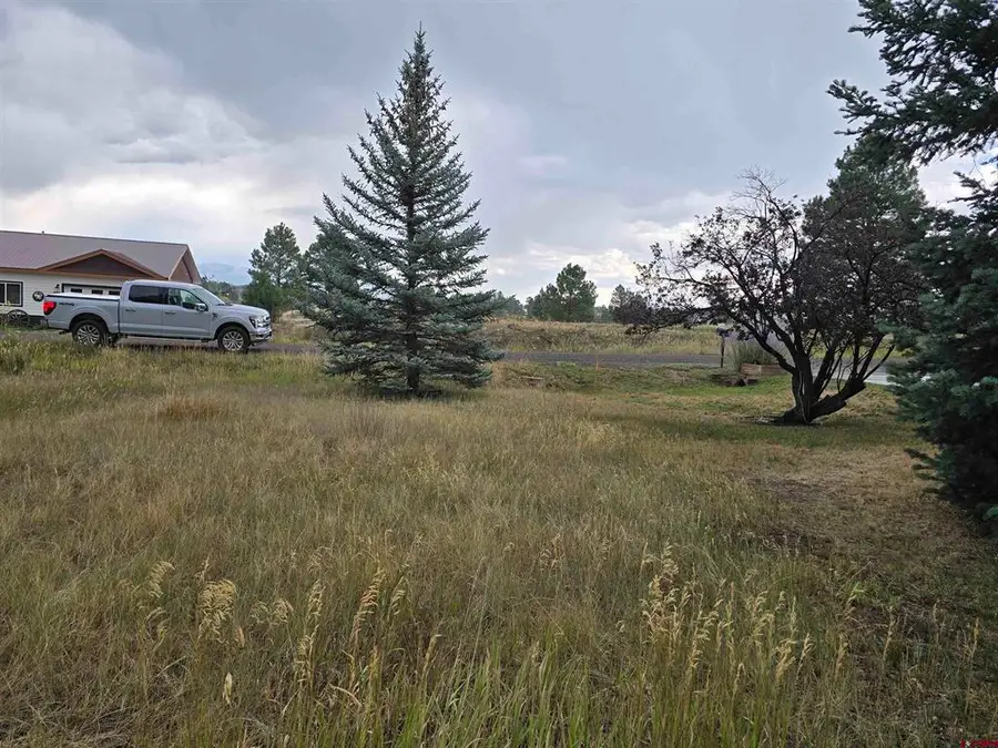 94 Pines Club Place, Pagosa Springs, CO 81147 - #3