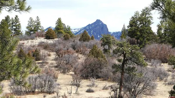 673 Spring Creek Circle, Chromo, CO 81128
