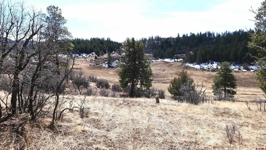 673 Spring Creek Circle, Chromo, CO 81128 - #2