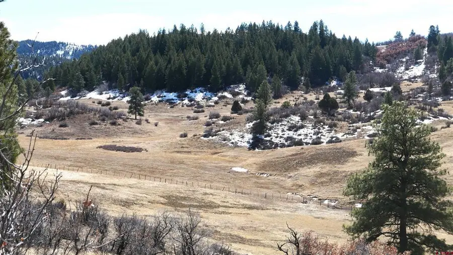 673 Spring Creek Circle, Chromo, CO 81128 - #3